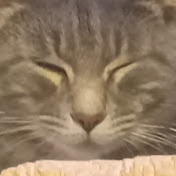 Profile Picture of Johnny Jeffrey (@johnnyJeffrey-h6p) on Youtube