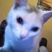Profile Picture of Linda Getty (@linda.getty.92) on Facebook