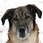 Profile Picture of James Willis (@jjames willis) on Flickr