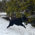 Profile Picture of Tim Waite (@waiteta1) on Instagram