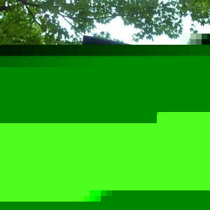 Profile Picture of Tracie Taillefer (@lonelydreams555) on Myspace