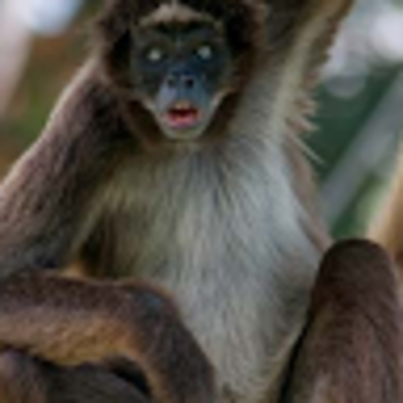 Brigham Dorrity - Poshmark Profile Picture of Brigham Dorrity (@brighamdorrity) on Poshmark