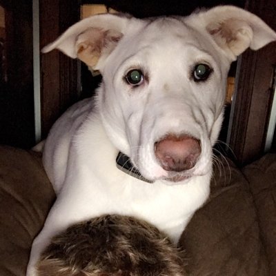 Profile Picture of Paul Augustinack (@paul_august15) on Twitter