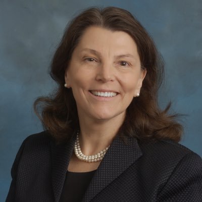 Profile Picture of Mary Anne Fitzpatrick @fitzpatm (@CICprof) on Twitter