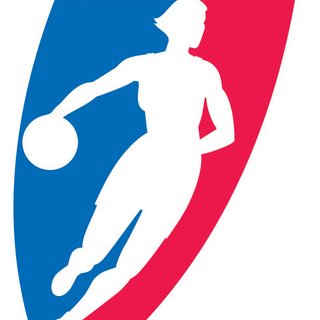 Profile Picture of Andre Doyle (@VoiceoftheWNBA) on Twitter