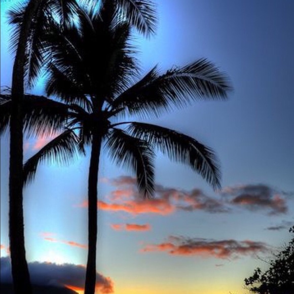 Maria María - Poshmark Profile Picture of Maria María (@morales731) on Poshmark