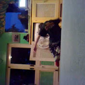 Profile Picture of Harrison Grant (@hmcbrap) on Youtube