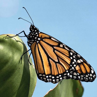 Profile Picture of Paul Mitchell (@paulmitchell1p) on Twitter