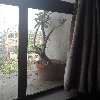 Profile Picture of Rita Chatterjee (@RitaChatterje17) on Twitter