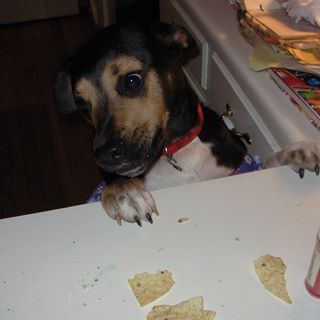 Profile Picture of Allen Sims (@allen.sims.33) on Facebook