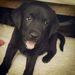 Profile Picture of Victoria Emerton (@VictoriaEmerton) on Pinterest