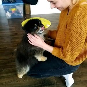 Profile Picture of Camille Falco (@camou64f) on Myspace