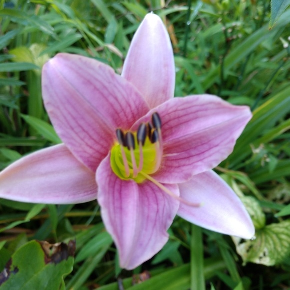 Profile Picture of Jeffrey Dunlap (@bootinhim) on Poshmark