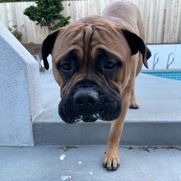 Profile Picture of Sonia Borgelt (@soniaborgelt) on Poshmark