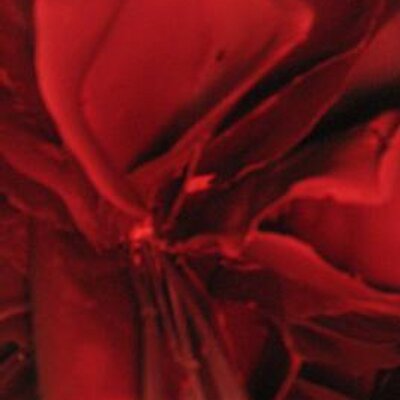 Profile Picture of Anne Harper (@JodiPaul5829) on Twitter