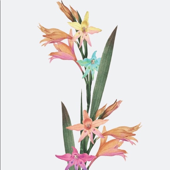 Profile Picture of John Baldinelli (@sk8ordie999) on Poshmark