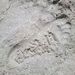 Profile Picture of Jason Dotson (@dotson0598) on Pinterest