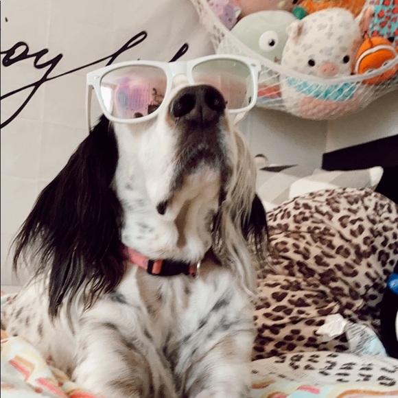 Profile Picture of Lilah Roberts (@lilahjane12) on Poshmark