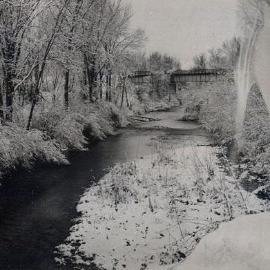 Profile Picture of Quinn Jacobson (@wetplate) on Twitter