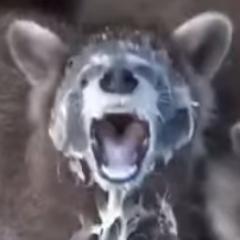 Profile Picture of Alexander Kostyuk (@prostomogy) on Twitter
