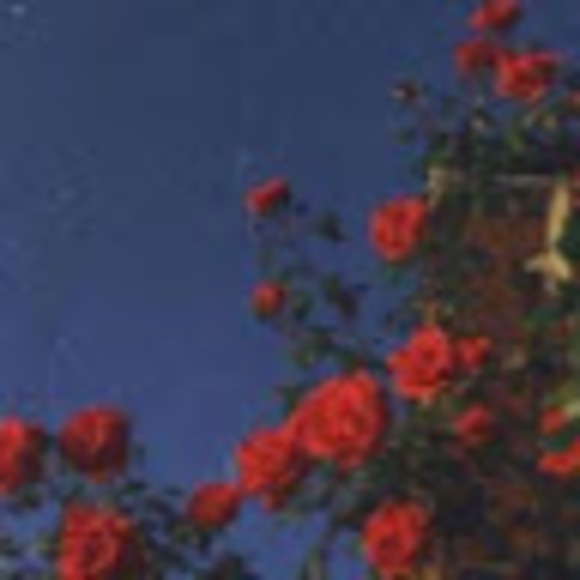 Profile Picture of Vivian Talmage (@viviantalmage) on Poshmark