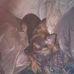 Profile Picture of Marshall Gibbs (@marshall.gibbs.967) on Facebook