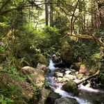 Profile Picture of Justin Kohler🥀 (@justin_kohler_) on Instagram