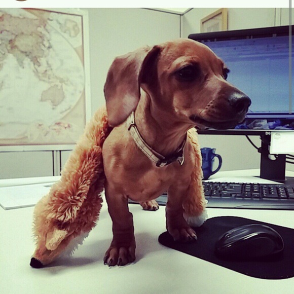 Profile Picture of Vic Vaske (@queenvic) on Poshmark