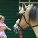 Profile Picture of Minke Singarajah-Leystra (@minke333) on Pinterest