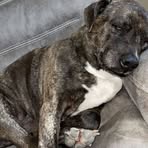 Profile Picture of David Curry (@david.curry.773776) on Facebook