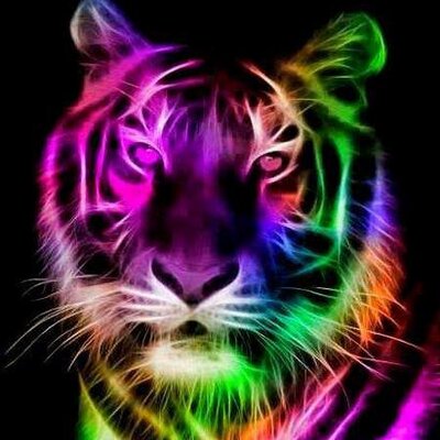 Profile Picture of Marsha Jones (@marshajones8) on Twitter