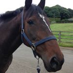 Profile Picture of Sarah stringer (@stringer5335) on Instagram