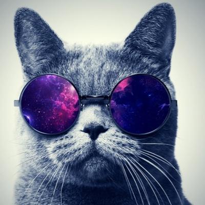 Profile Picture of Jo Ann Branch (@JoAnnBranch) on Twitter