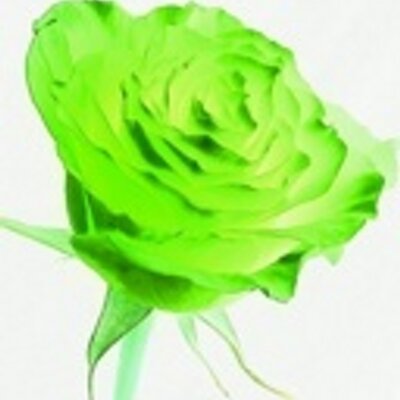 Profile Picture of Krish Kumar (@Krishkumar8) on Twitter