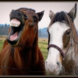 Profile Picture of Amanda Frankland (@amandafrankland) on Twitter