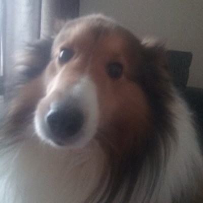 Profile Picture of Phillip Patrick (@phillippatrick3) on Twitter