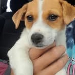 Profile Picture of Cooper Rolton (@Cooper-Rolton) on Facebook