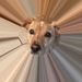 Profile Picture of Celia Parsons (@vacp) on Pinterest