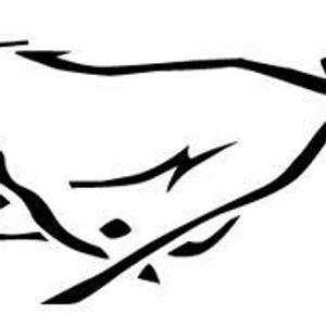 Profile Picture of Josh Selby (@jryan98) on Myspace