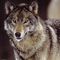 Profile Picture of Jarod McCreary (@jarod.mccreary.1) on Facebook
