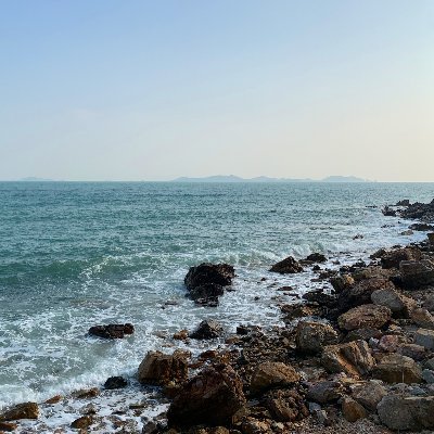 Profile Picture of HaiTao Yang (@HaiTaoYang11) on Twitter