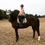 Profile Picture of bschorrlilly (@bschorrlilly) on Instagram