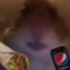 Profile Picture of Marvin Funky (@@marvin.funky) on Tiktok