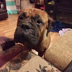 Profile Picture of Charles Coffman (@charles.coffman.182) on Instagram