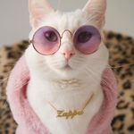 Profile Picture of Daniel Pinter (@daniel.pinter.3975) on Instagram