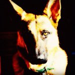 Profile Picture of martin_newton (@martin_newton) on Instagram