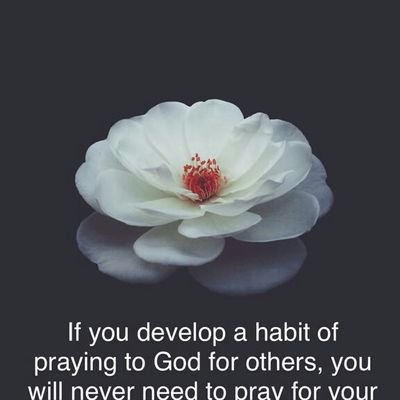 Profile Picture of Kevin Bhatt (@KevinBhatt9) on Twitter