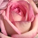 Profile Picture of Gail Potts (@gailpotts92) on Instagram