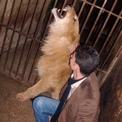 Profile Picture of Ahmed Hamdi (@ahmed_hamdi2011) on Twitter