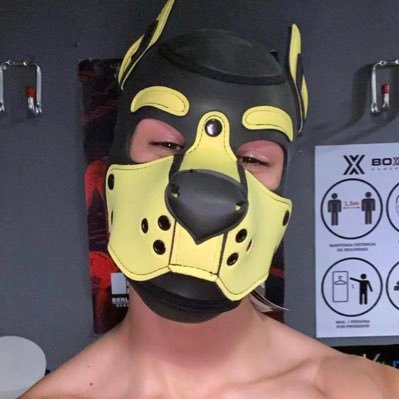 Profile Picture of Andrew Romero (@wolf_darkar) on Twitter